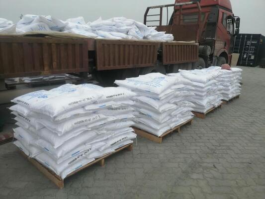 Bulk Sodium Bicarbonate Powder High Purity White Crystalline Baking Soda for Food Processing, Feed Additive and Industrial Use